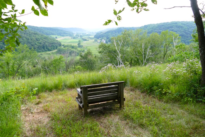 big view bench