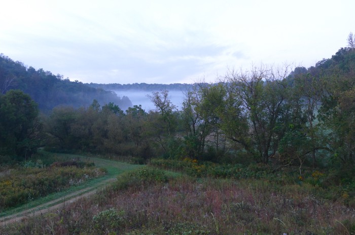 mist in the valley