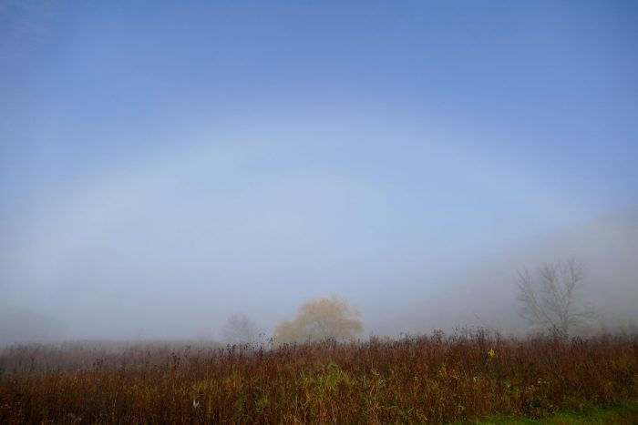 fog-rainbow